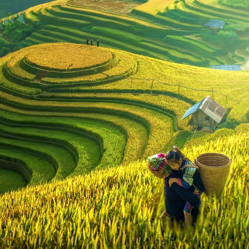 SEALONG 198 COMPANY LIMITED